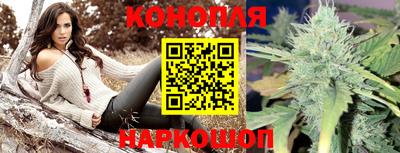 прущий лед Будённовск