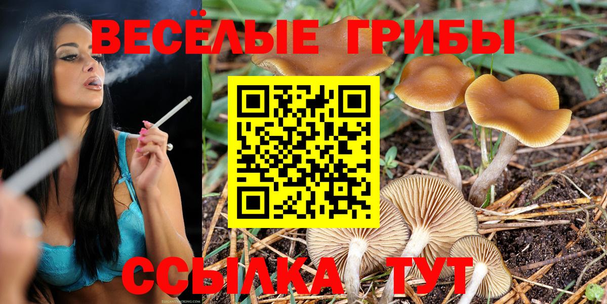 Псилоцибиновые грибы мицелий  Псилоцибиновые грибы Magic Shrooms  Вход с VPN  Саранск 